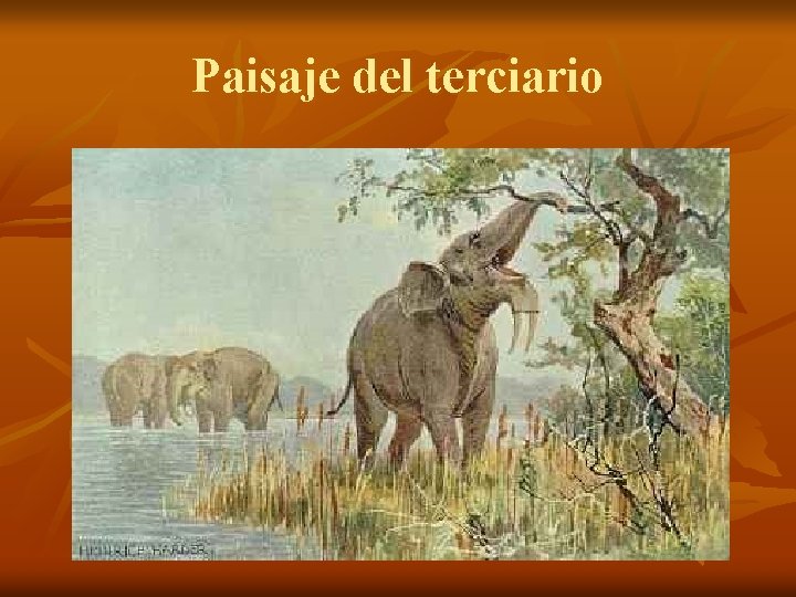 Paisaje del terciario 