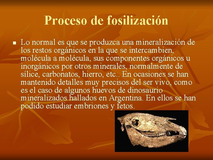 Proceso de fosilización n Lo normal es que se produzca una mineralización de los