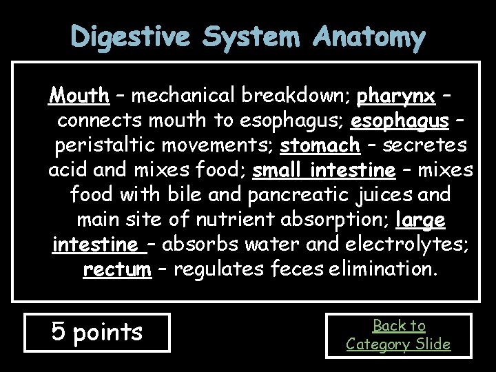 Digestive System Anatomy Mouth – mechanical breakdown; pharynx – connects mouth to esophagus; esophagus