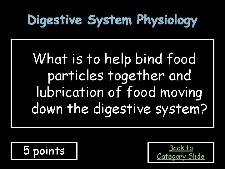 Digestive System Physiology What is to help bind food particles together and lubrication of