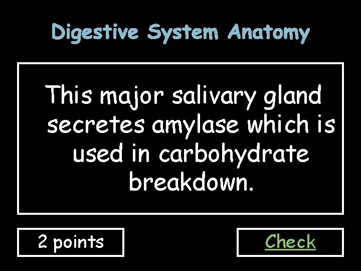 Digestive System Anatomy This major salivary gland secretes amylase which is used in carbohydrate
