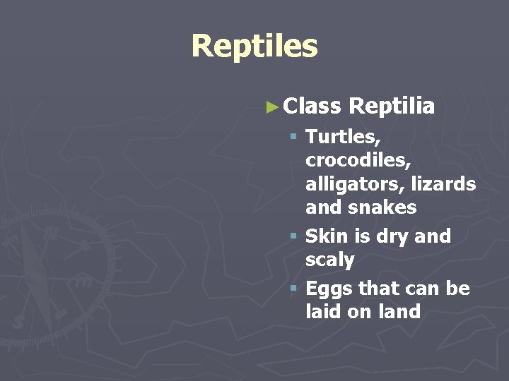 Reptiles ► Class Reptilia § Turtles, crocodiles, alligators, lizards and snakes § Skin is