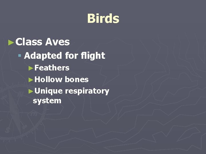 Birds ►Class Aves § Adapted for flight ►Feathers ►Hollow bones ►Unique respiratory system 