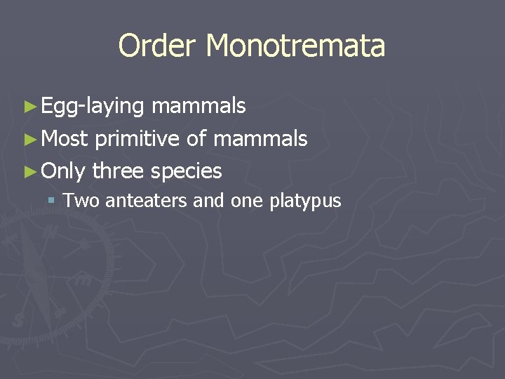 Order Monotremata ► Egg-laying mammals ► Most primitive of mammals ► Only three species