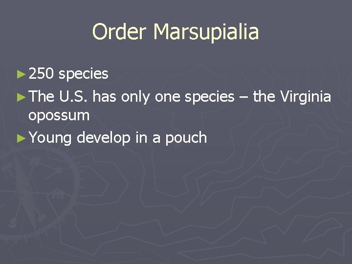 Order Marsupialia ► 250 species ► The U. S. has only one species –