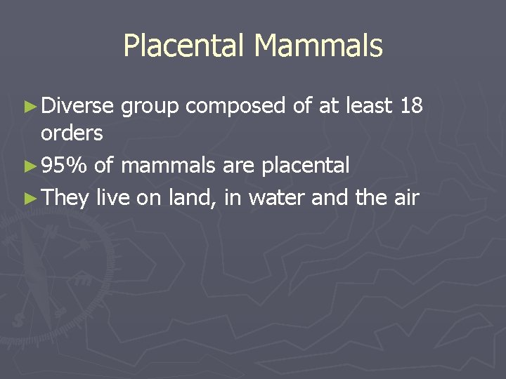 Placental Mammals ► Diverse group composed of at least 18 orders ► 95% of