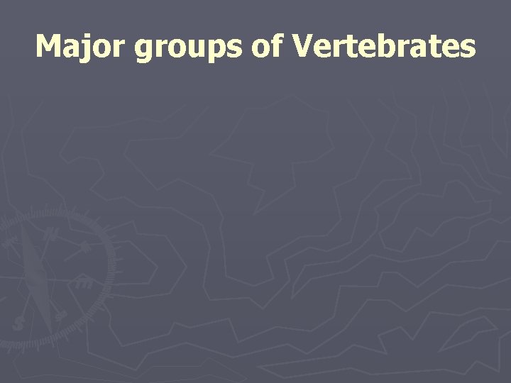 Major groups of Vertebrates 