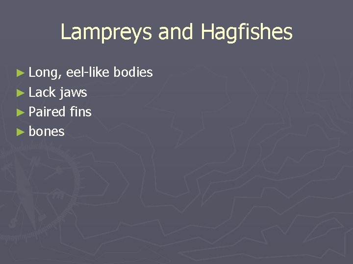 Lampreys and Hagfishes ► Long, eel-like bodies ► Lack jaws ► Paired fins ►