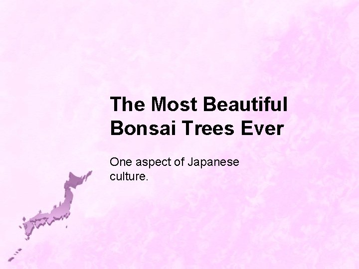 The Most Beautiful Bonsai Trees Ever One aspect of Japanese culture. 
