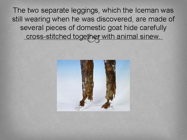 The two separate leggings, which the Iceman was still wearing when he was discovered,
