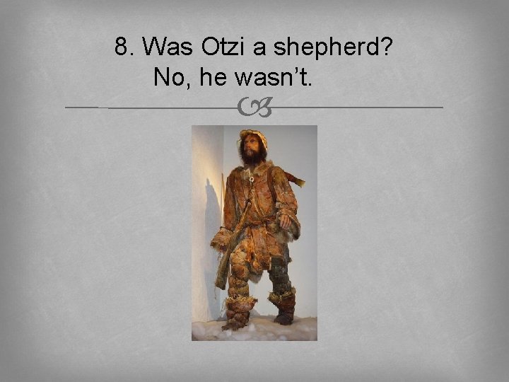 8. Was Otzi a shepherd? No, he wasn’t. 