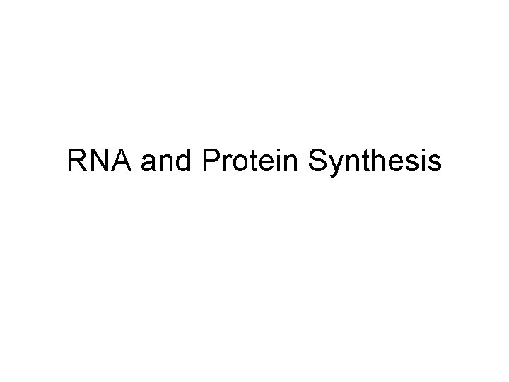 RNA and Protein Synthesis 