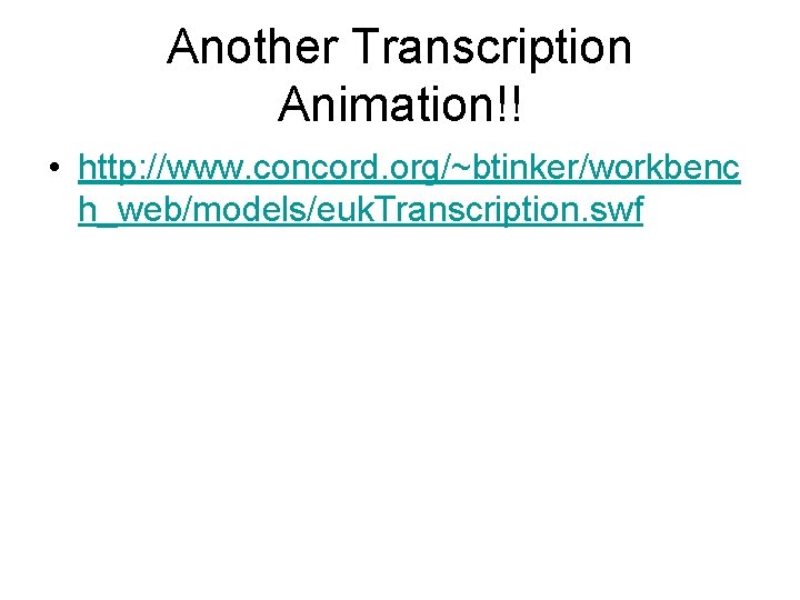 Another Transcription Animation!! • http: //www. concord. org/~btinker/workbenc h_web/models/euk. Transcription. swf 