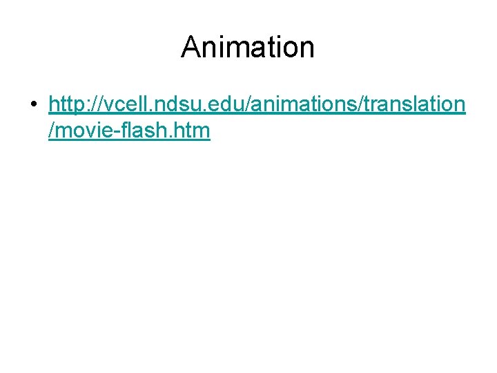 Animation • http: //vcell. ndsu. edu/animations/translation /movie-flash. htm 