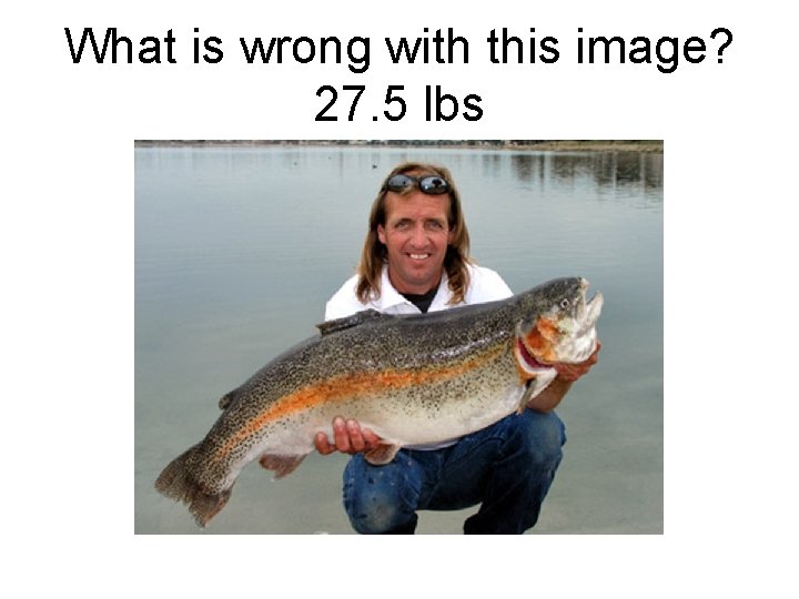 What is wrong with this image? 27. 5 lbs 