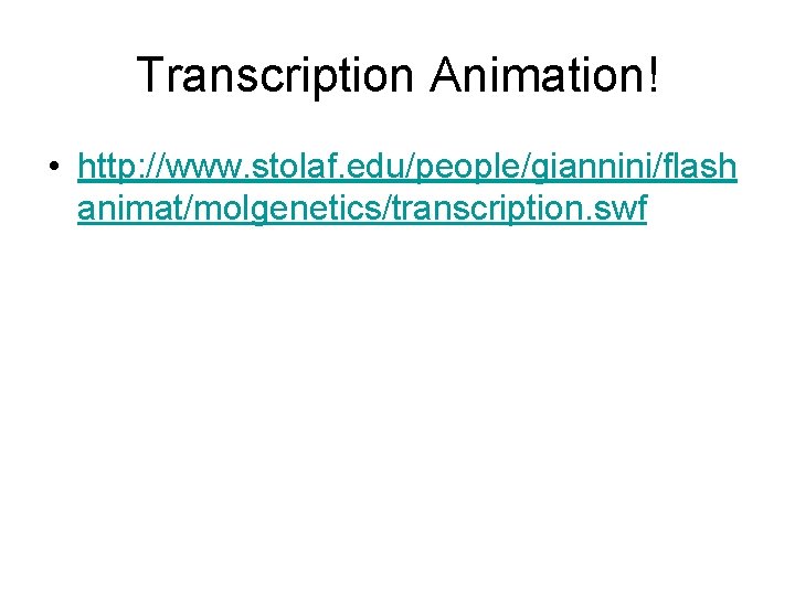 Transcription Animation! • http: //www. stolaf. edu/people/giannini/flash animat/molgenetics/transcription. swf 