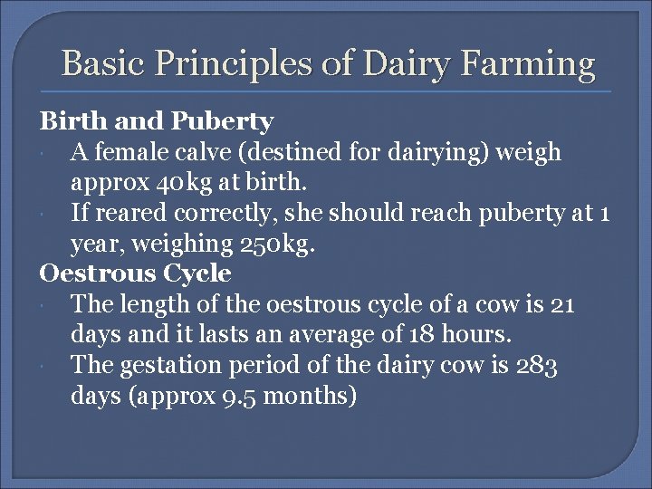 Basic Principles of Dairy Farming Birth and Puberty A female calve (destined for dairying)