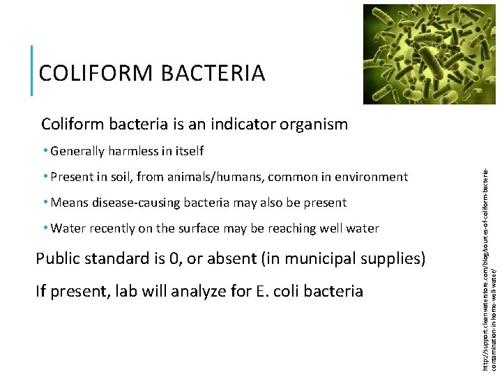 COLIFORM BACTERIA Coliform bacteria is an indicator organism • Present in soil, from animals/humans,