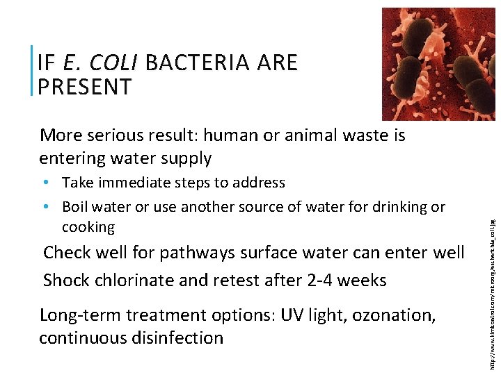 IF E. COLI BACTERIA ARE PRESENT • Take immediate steps to address • Boil