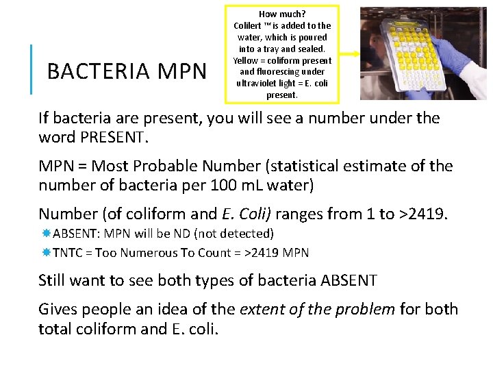 BACTERIA MPN How much? Colilert ™ is added to the water, which is poured