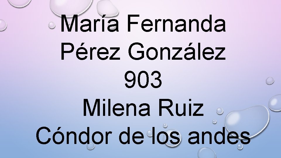 María Fernanda Pérez González 903 Milena Ruiz Cóndor de los andes 