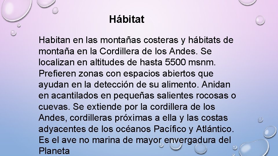 Hábitat Habitan en las montañas costeras y hábitats de montaña en la Cordillera de