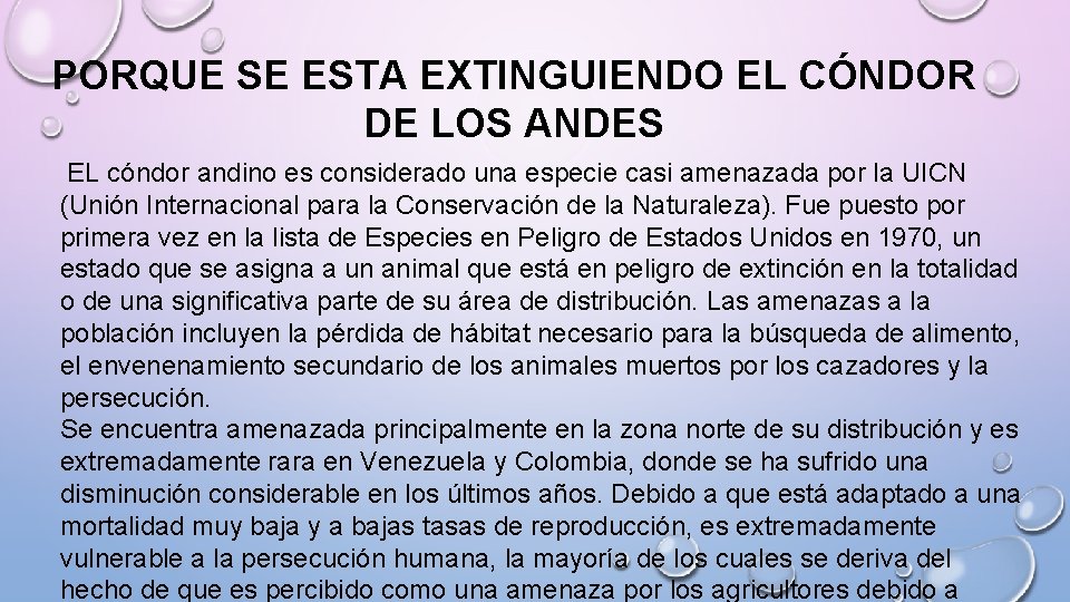 PORQUE SE ESTA EXTINGUIENDO EL CÓNDOR DE LOS ANDES EL cóndor andino es considerado