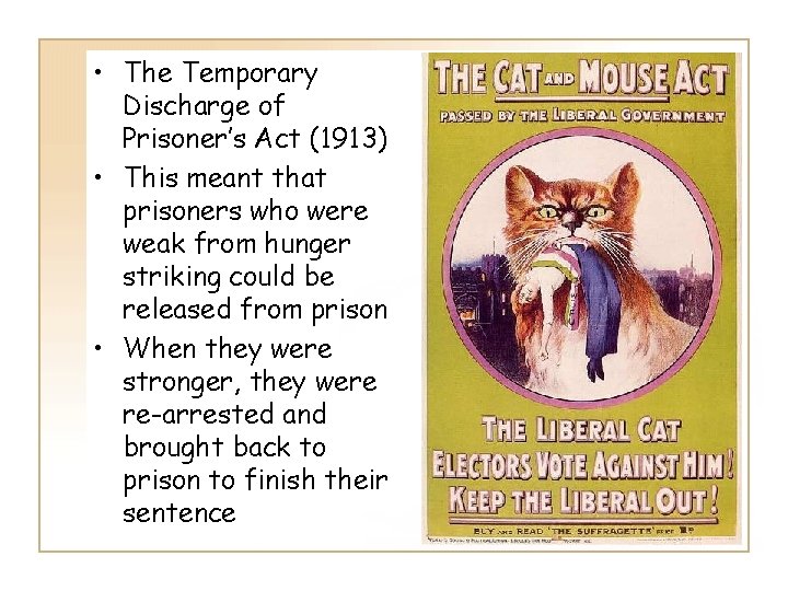  • The Temporary Discharge of Prisoner’s Act (1913) • This meant that prisoners