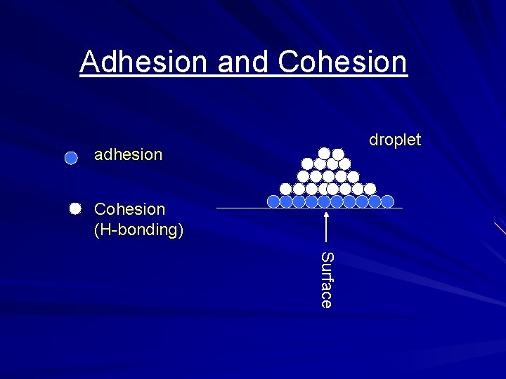 Adhesion and Cohesion droplet adhesion Cohesion (H-bonding) Surface 