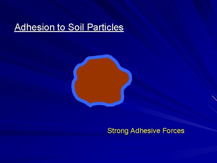 Adhesion to Soil Particles Strong Adhesive Forces 