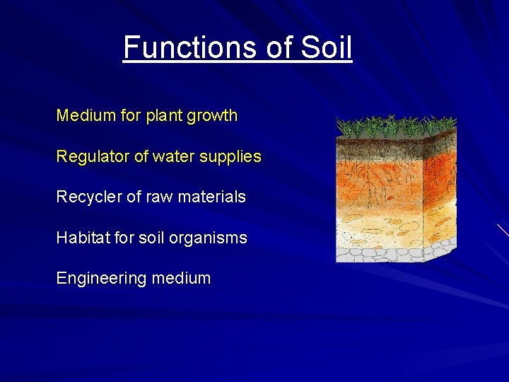 Functions of Soil Medium for plant growth Regulator of water supplies Recycler of raw