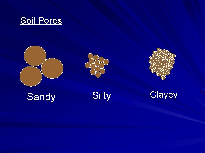 Soil Pores Sandy Silty Clayey 