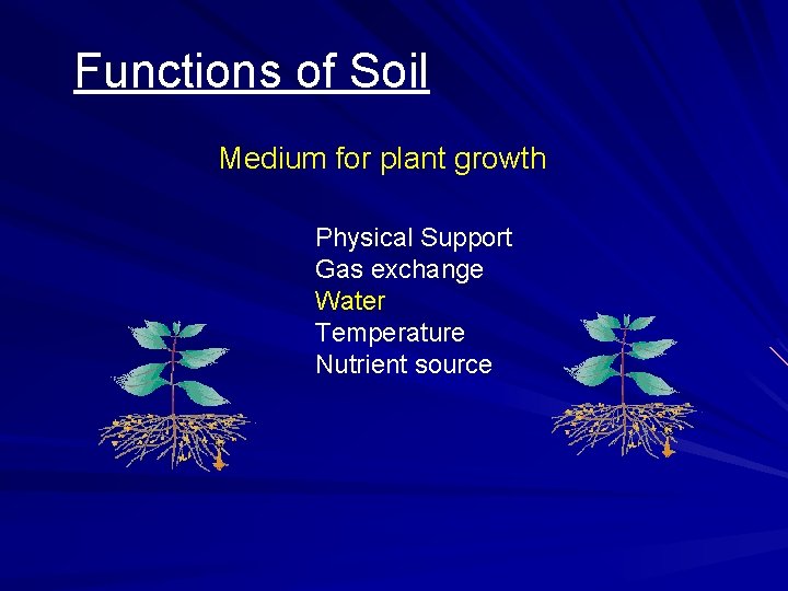 Functions of Soil Medium for plant growth Physical Support Gas exchange Water Temperature Nutrient