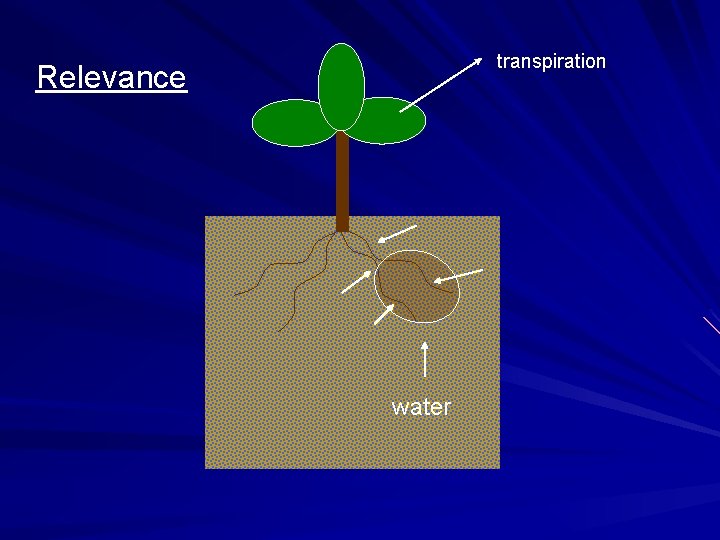 transpiration Relevance water 