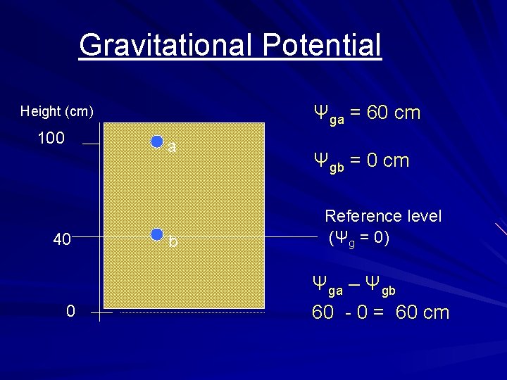 Gravitational Potential Ψga = 60 cm Height (cm) 100 a 40 0 b Ψgb