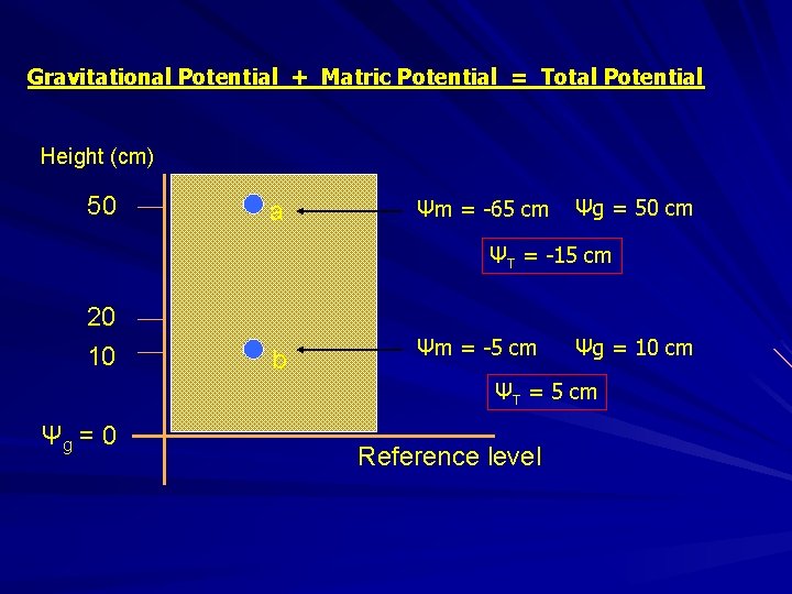 Gravitational Potential + Matric Potential = Total Potential Height (cm) 50 a Ψm =