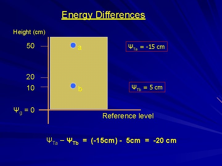 Energy Differences Height (cm) 50 a ΨTa = -15 cm 20 10 b ΨTb