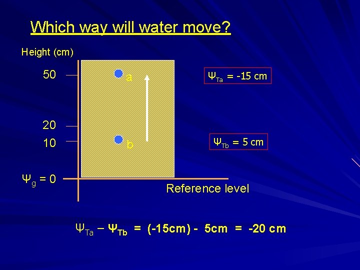 Which way will water move? Height (cm) 50 a ΨTa = -15 cm 20