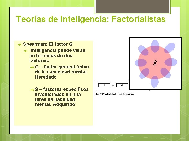 Teorías de Inteligencia: Factorialistas Spearman: El factor G Inteligencia puede verse en términos de