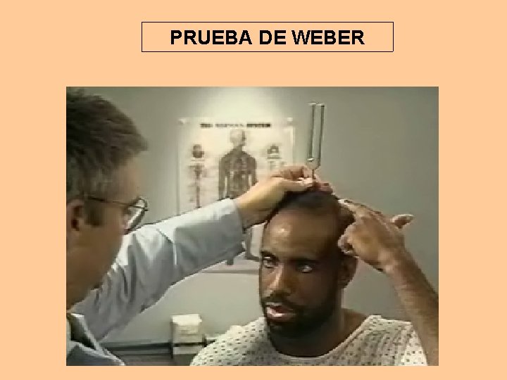 PRUEBA DE WEBER 