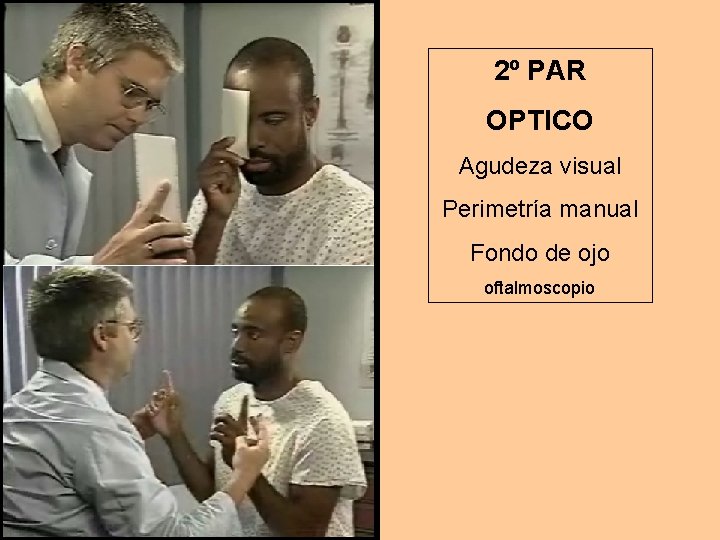 2º PAR OPTICO Agudeza visual Perimetría manual Fondo de ojo oftalmoscopio 