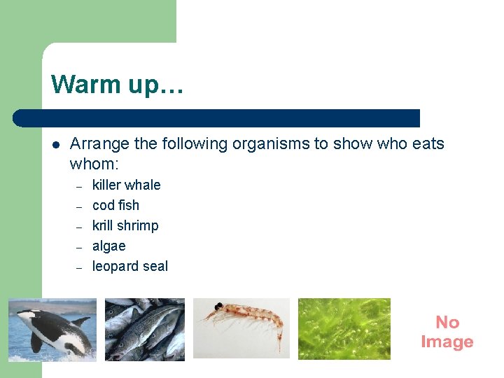 Warm up… l Arrange the following organisms to show who eats whom: – – Warm up… l Arrange the following organisms to show who eats whom: – –