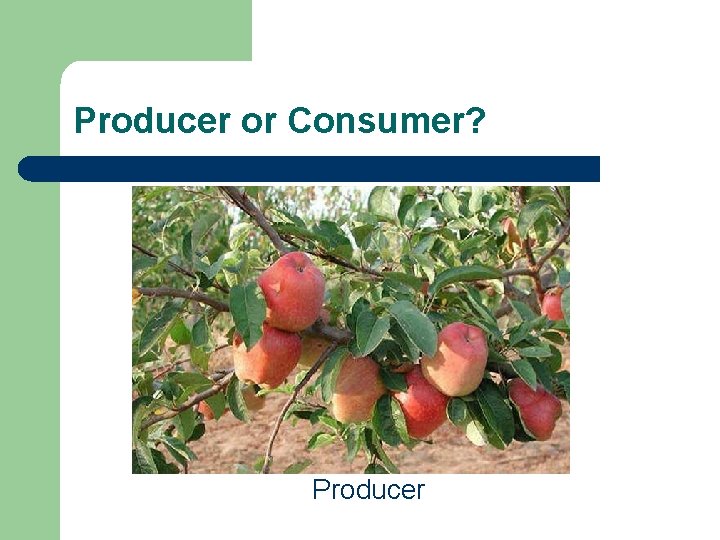 Producer or Consumer? Producer Producer or Consumer? Producer