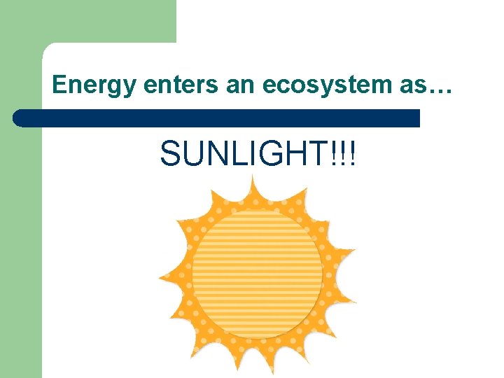 Energy enters an ecosystem as… SUNLIGHT!!! Energy enters an ecosystem as… SUNLIGHT!!!