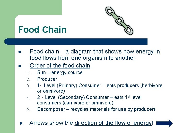 Food Chain l l Food chain – a diagram that shows how energy in Food Chain l l Food chain – a diagram that shows how energy in