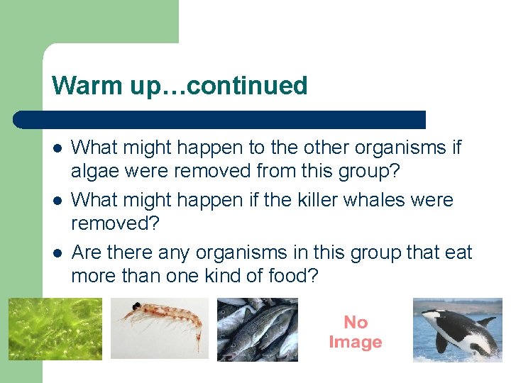 Warm up…continued l l l What might happen to the other organisms if algae Warm up…continued l l l What might happen to the other organisms if algae