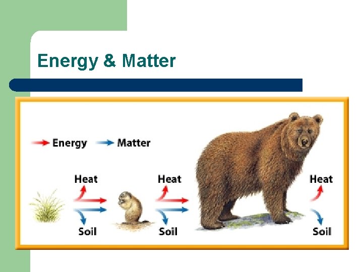 Energy & Matter Energy & Matter