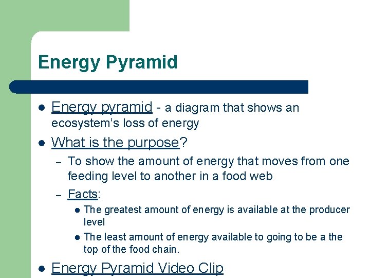 Energy Pyramid l Energy pyramid - a diagram that shows an ecosystem’s loss of Energy Pyramid l Energy pyramid - a diagram that shows an ecosystem’s loss of