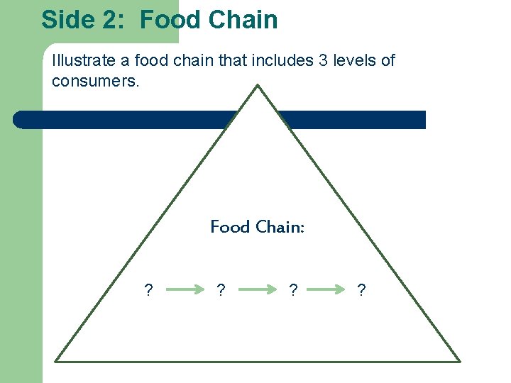 Side 2: Food Chain Illustrate a food chain that includes 3 levels of consumers. Side 2: Food Chain Illustrate a food chain that includes 3 levels of consumers.