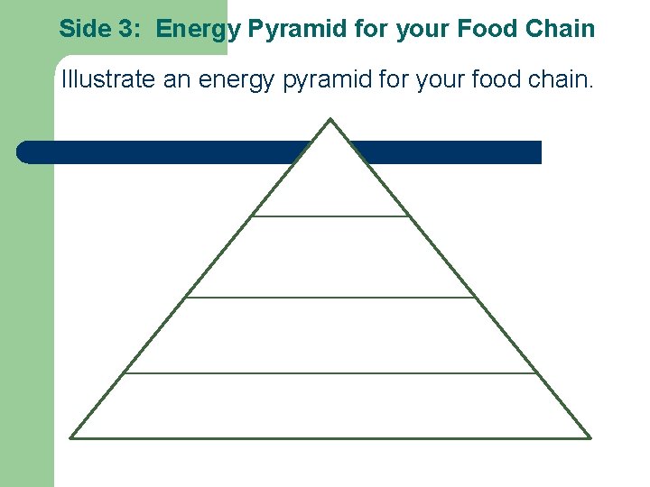 Side 3: Energy Pyramid for your Food Chain Illustrate an energy pyramid for your Side 3: Energy Pyramid for your Food Chain Illustrate an energy pyramid for your